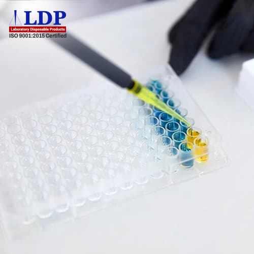 Why 96-Well Plates Are a Foundation of Efficient Cell-Based Research