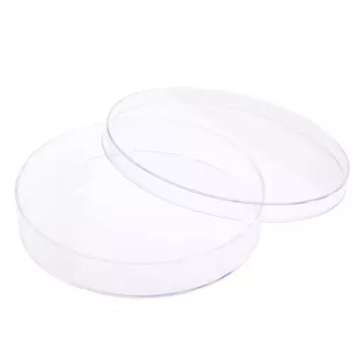Cell Culture Dish