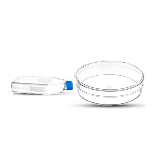 Other Flask
