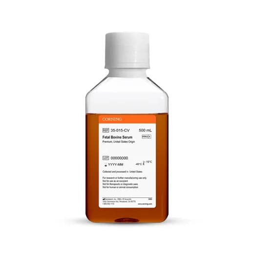 Serum