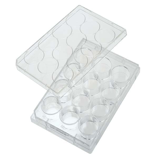 Tissue Culture Plate