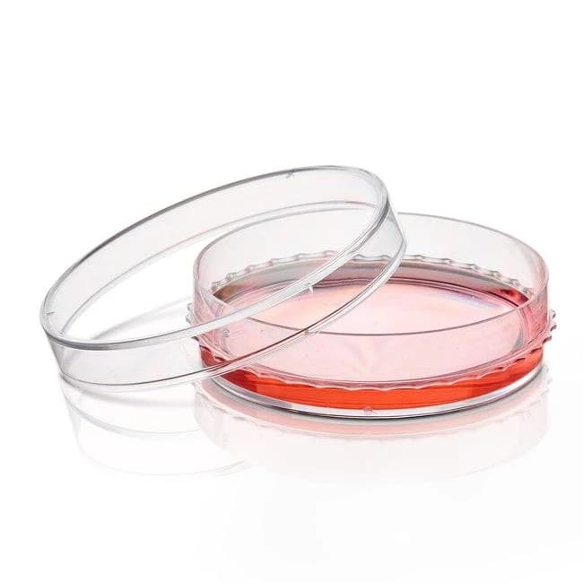 BioLite 60mm TC Dish