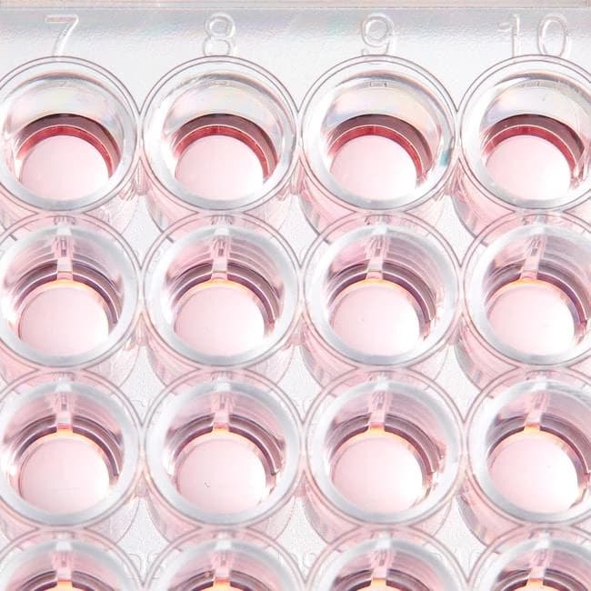 BioLite 48 Well Multidish
