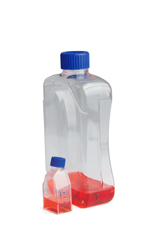 Flask, 300CM² TC,PS, STR Neck
