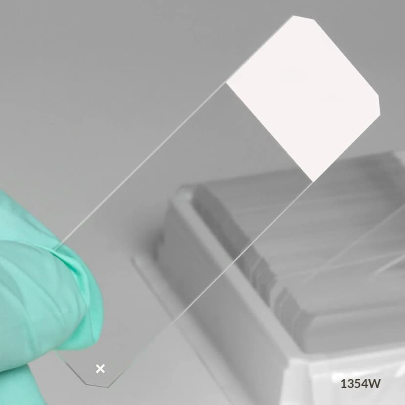 Microscope Slides, Diamond White Glass, 25 x 75mm, Charged, 45° Beveled Edges, Safety Corners, White Frosted, 72/Box