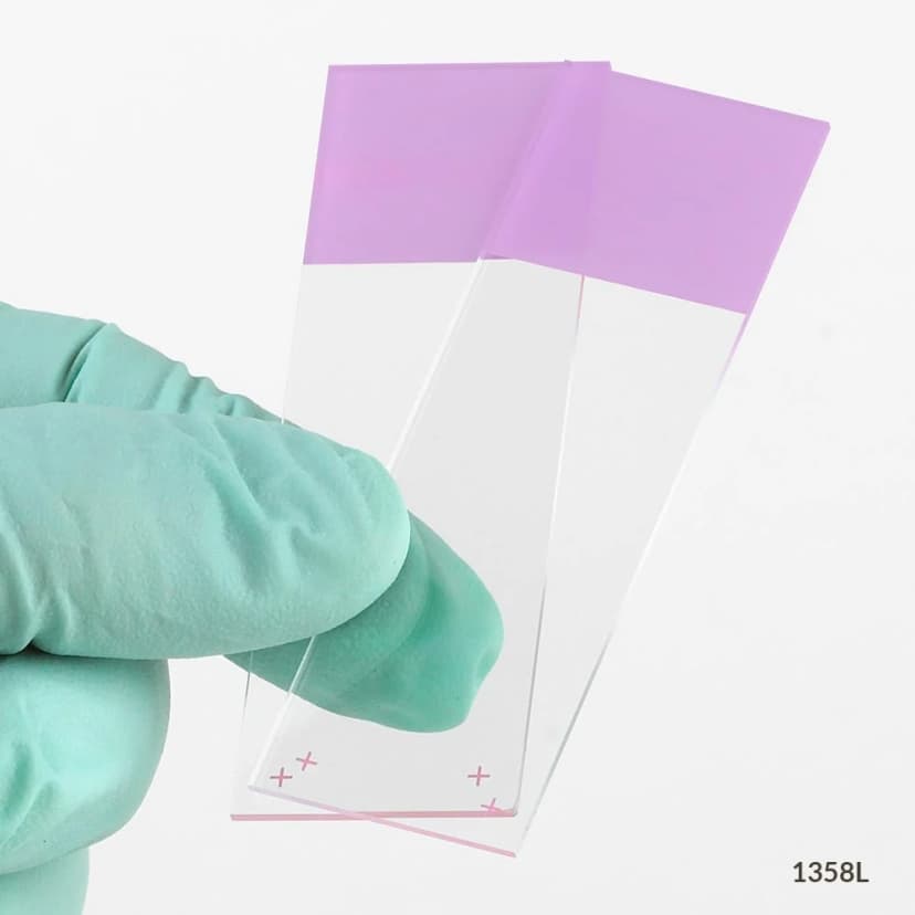 Microscope Slides, Diamond White Glass, 25 x 75mm, Charged, 90° Ground Edges, Lilac Frosted, 72/Box
