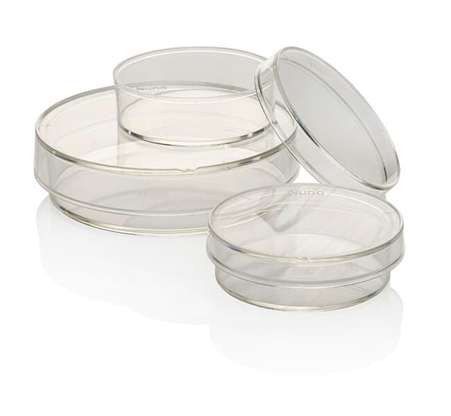 IVF ICSI Dish