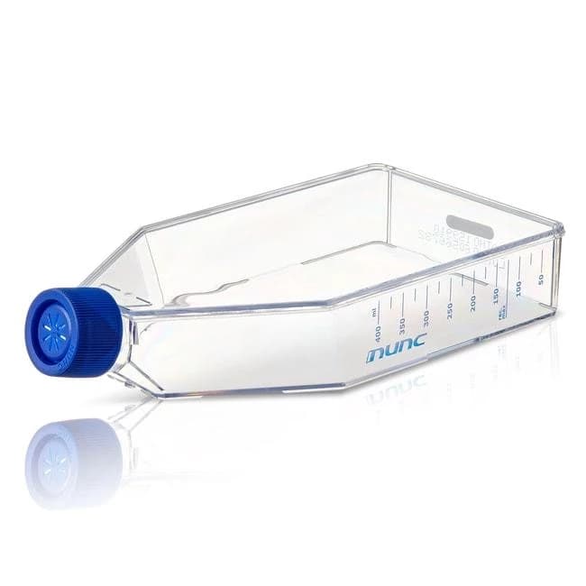 EASYFLASK T175 SUPRA FILTER ST