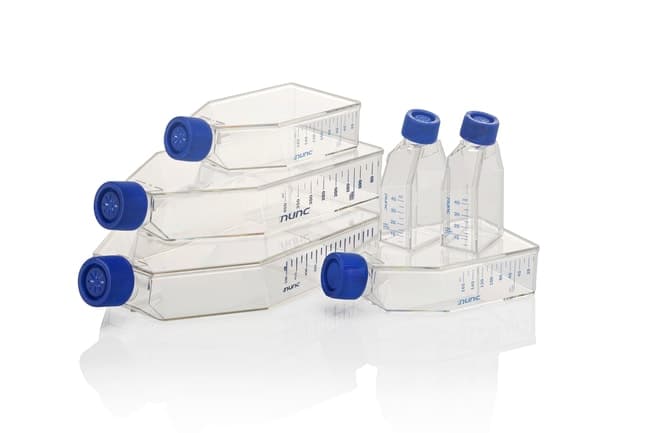 EasY Flask Nunclon 150ml working vol Angled Neck Filter Cap PS Sterile 225 cm2