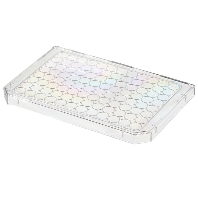 UpCell 96F Microwell Plate,1/8