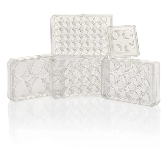 Multidish PS 4 Well Nunclon Round w/Lid Sterile 66x66 15mm Well