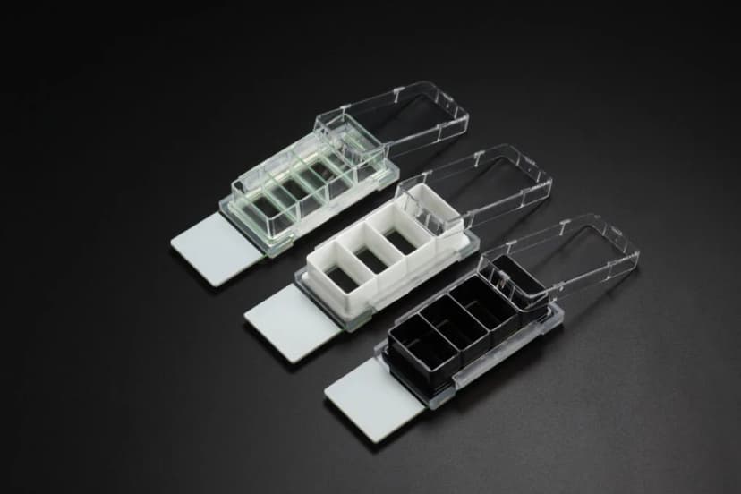 Nest Cell Culture Chamber Slides, 1 well w/glass slide, Black, 9.40 cm2,