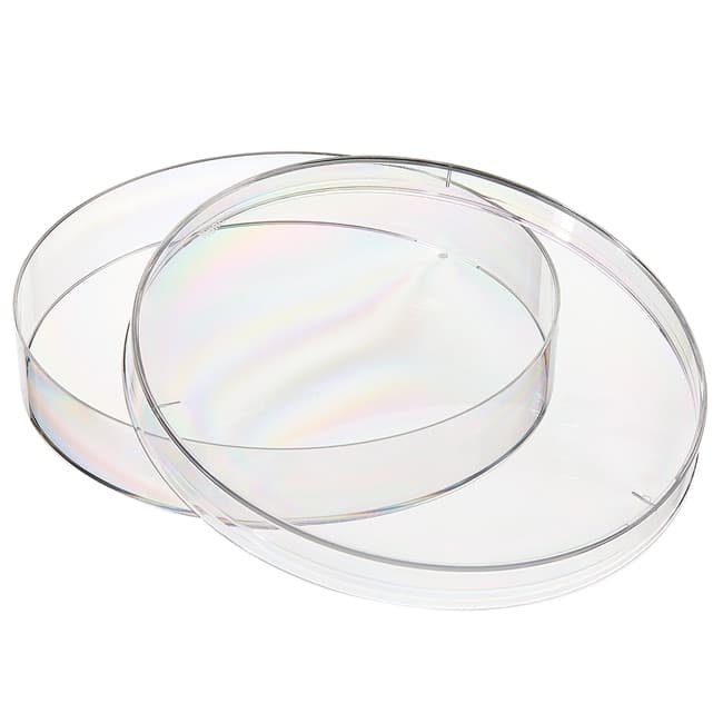Petri Dish w/Lid Sterile PS 140 x 20 mm