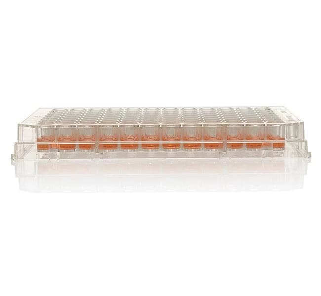 96 Well Plt PS Non-Treated NS w/o Lid Clr F96 400 ul Well