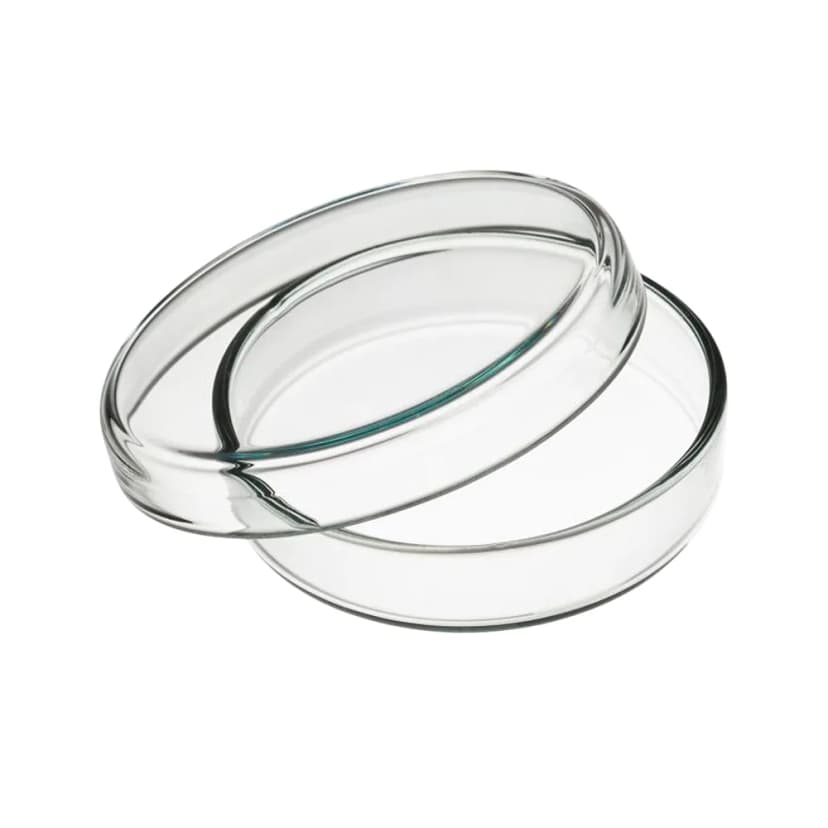 Petri Dishes Polystyrene Mono Plate 150 x 15mm