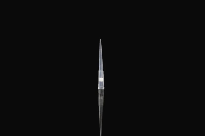 200µl Filtered Pipette Tips, Clear, Sterile, Box, 960/pk, 4800/cs