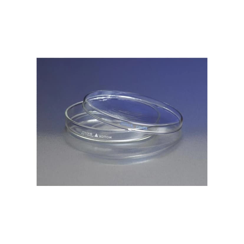 PYREX 100x20mm Petri Dish Cover Only