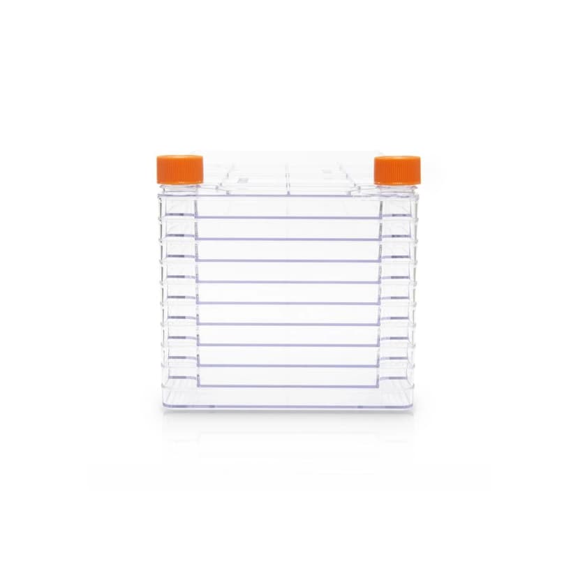 Corning CellSTACK, 10-layer Polystyrene vessel with Vent Caps, TC treated Growth Surface, Sterile, 1 per bag, 6 per case