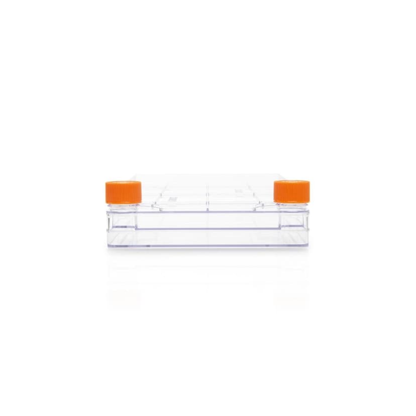 Corning CellSTACK, 2-layer Polystyrene vessel with Vent Caps, CellBIND treated Growth Surface, Sterile, 1 per bag, 5 per case