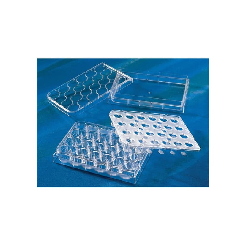 Costar HTS Transwell-24 Permeable Support with 0.4m Pore Polyester (PET) Membrane, Sterile, 12/Pack, 12/Case