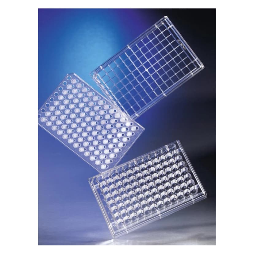 Corning HTS Transwell-96 Permeable Support System with 0.4m Pore Polycarbonate (PC) Membrane, Sterile, 5/Pack, 5/Case