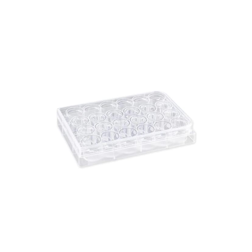 Costar 6.5mm Transwell Permeable Support with 5.0m Pore Polycarbonate (PC) Membrane, Sterile, 12/Pack, 48/Case