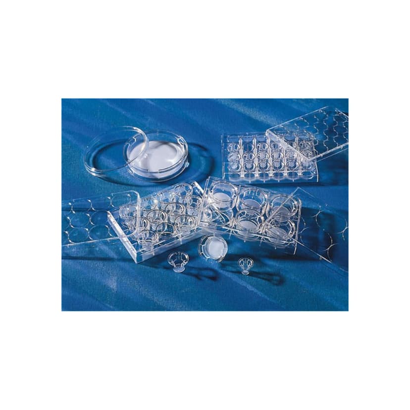Costar 24mm Transwell Permeable Support with 8.0m Pore Polycarbonate (PC) Membrane, Sterile, 6/Pack, 24/Case