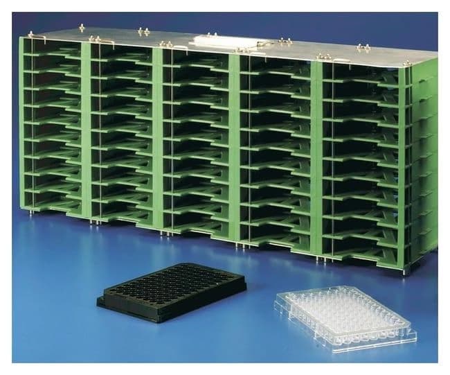 Storage Rack for 25 DeepWell Plts Green Plastic 5 Tall x 5 Wide
