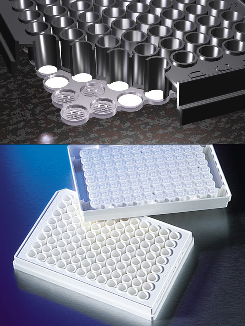 FILTER PLT,96WL,0.2UM,PVDF,CLEAR,PS,NS,BK,10/50