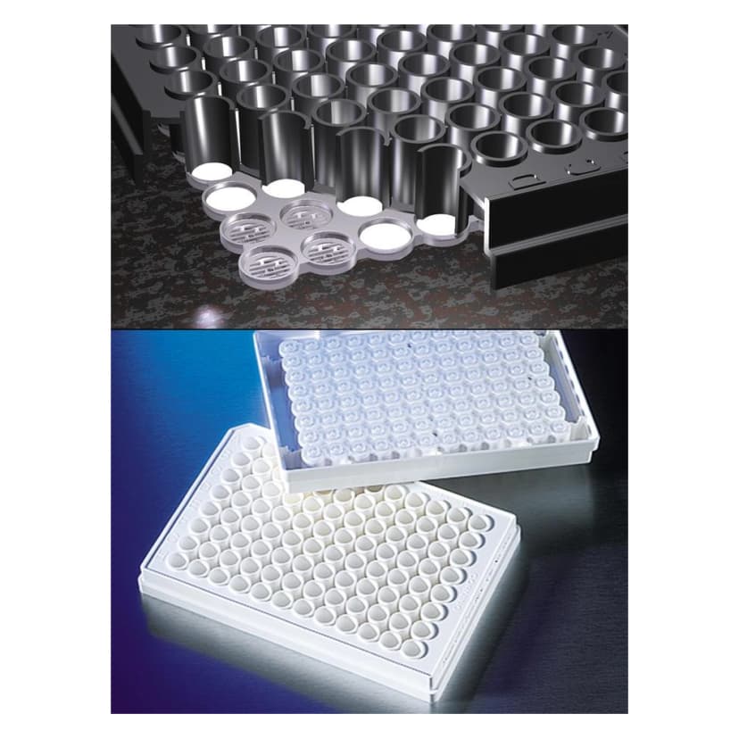 FiltrEX 96 Well Filter Plates with 0.2m PVDF Membrane, Sterile