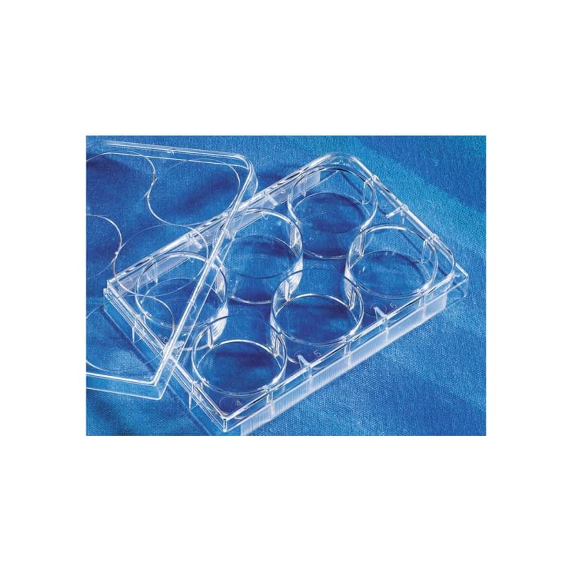 Costar 6 Well Clear, Tissue Culture-Treated Multiple Well Plates with Lid, , Sterile, Bulk Packed, 5/Bag, 100/Case