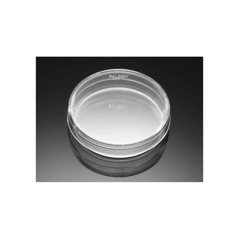 Falcon® 60mmx15mm Not TC-Treated Treated Bacteriological Petri Dish, 20/Pack, 500/Case