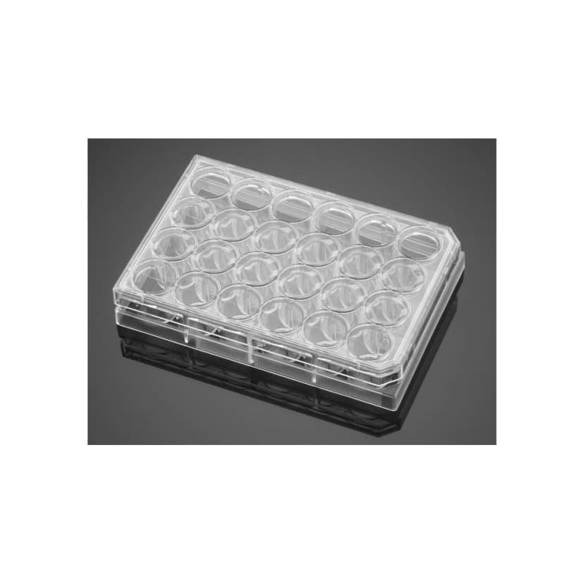Falcon® 24 Well Clear Flat Bottom, Not Treated Cell Culture Plate with Lid, Non-Pyrogenic, Sterile, Individually Wrapped, 1/Tray, 50/Case