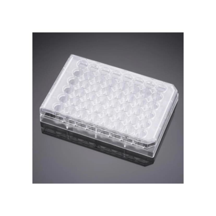 Falcon® 48 Well Clear Flat Bottom Not Treated Multiwell Cell Culture Plate with Lid, Non-Pyrogenic, Individually Wrapped, Sterile, 50/Case