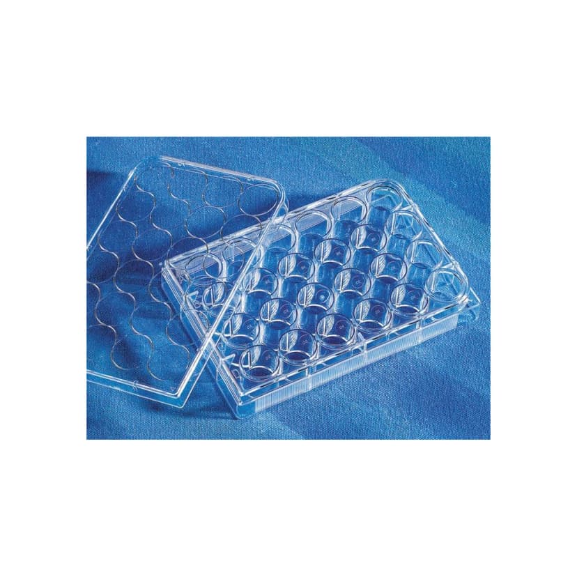Costar 24 Well Clear, Tissue Culture-Treated Multiple Well Plates with Lid, Sterile, Individually Wrapped, 100/Case
