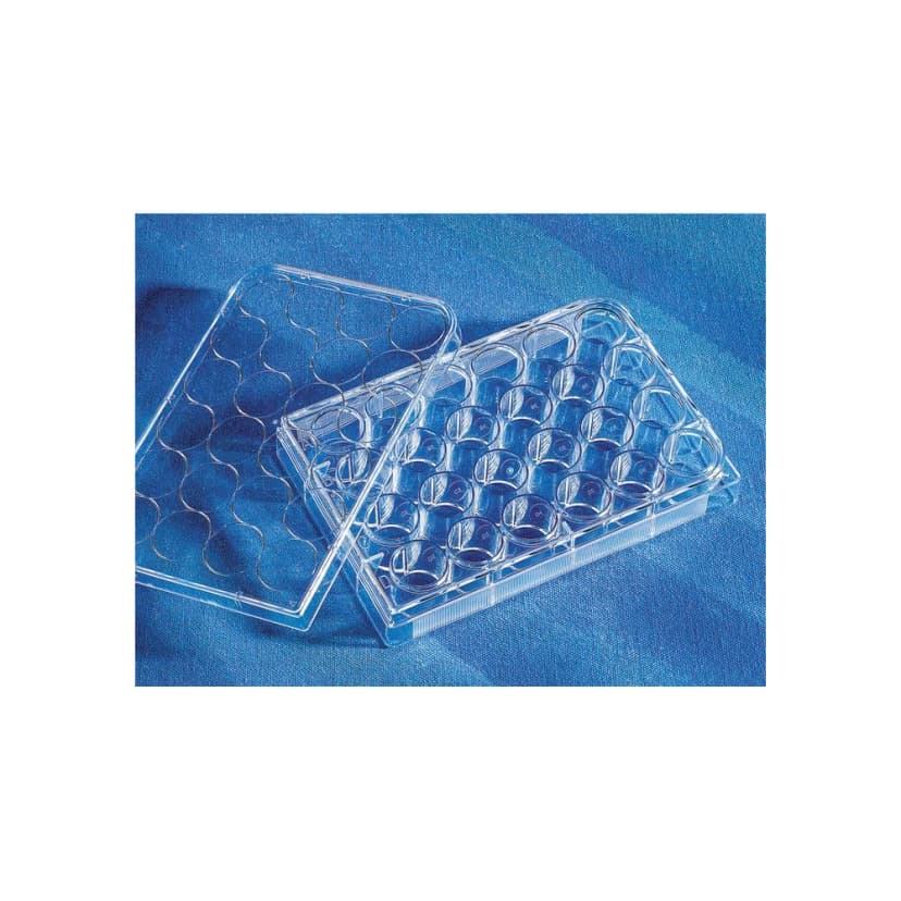 Costar 24 Well Clear, Tissue Culture-Treated Multiple Well Plates with Lid, Sterile, Individually Wrapped, 50/Case