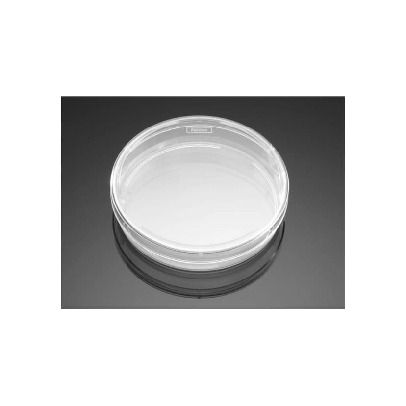 Falcon® 60mm x 15mm Style Cell Culture Dish, Tissue Culture-Treated, Sterile, Bulk Packaged, 20/Pack, 500/Case