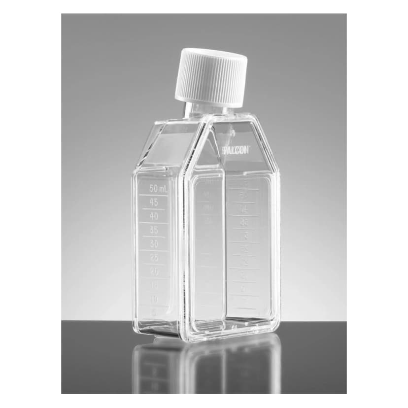 Falcon® 25cm² Rectangular Canted Neck Cell Culture Flask with White Plug Seal Screw Cap