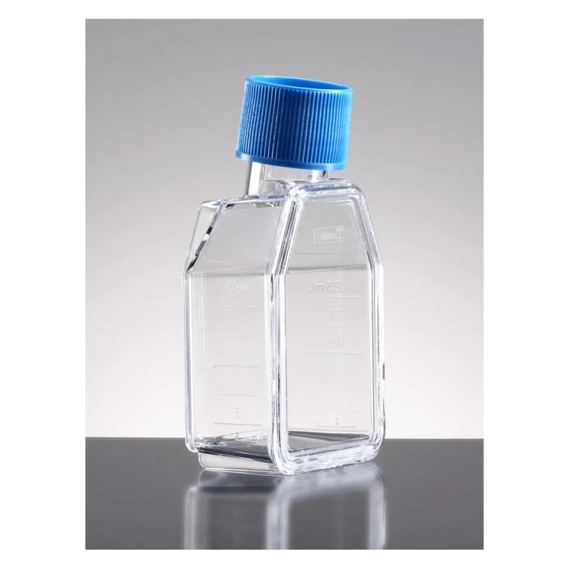 Falcon® 12.5cm² Rectangular Canted Neck Cell Culture Flask with Blue Plug Seal Screw Cap