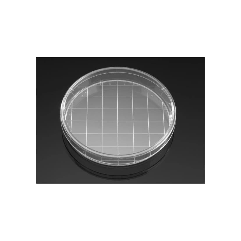 Falcon® 150mm x 25mm Style Cell Culture Dish with 20mm Grid Molded in Base, Tissue Culture-Treated Sterile, Bulk Packaged, 10/Pack, 100/Case