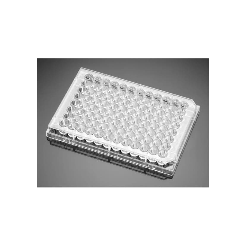 Falcon® 96 Well Cell Culture Plate, Clear, Flat Bottom, Tissue Culture Treated, Sterile