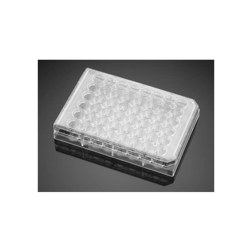 Falcon® 48 Well Clear Flat Bottom, Tissue Culture-Treated Cell Culture Plate with Lid, Non-Pyrogenic, Sterile, Individually Wrapped, 50/Case