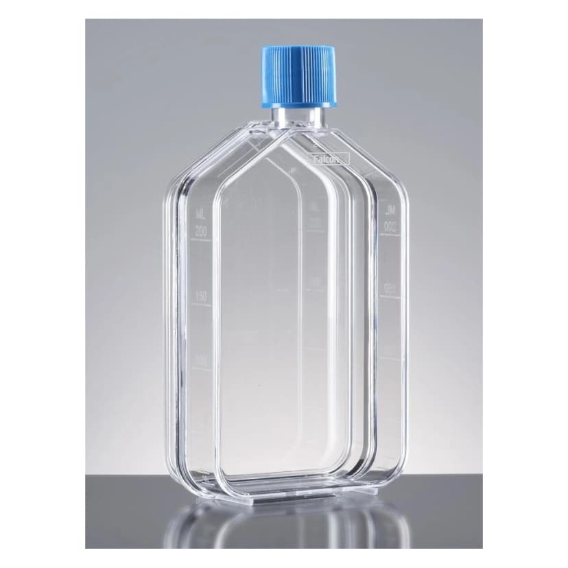 Falcon® 75cm² Rectangular Straight Neck Cell Culture Flask with Vented Cap
