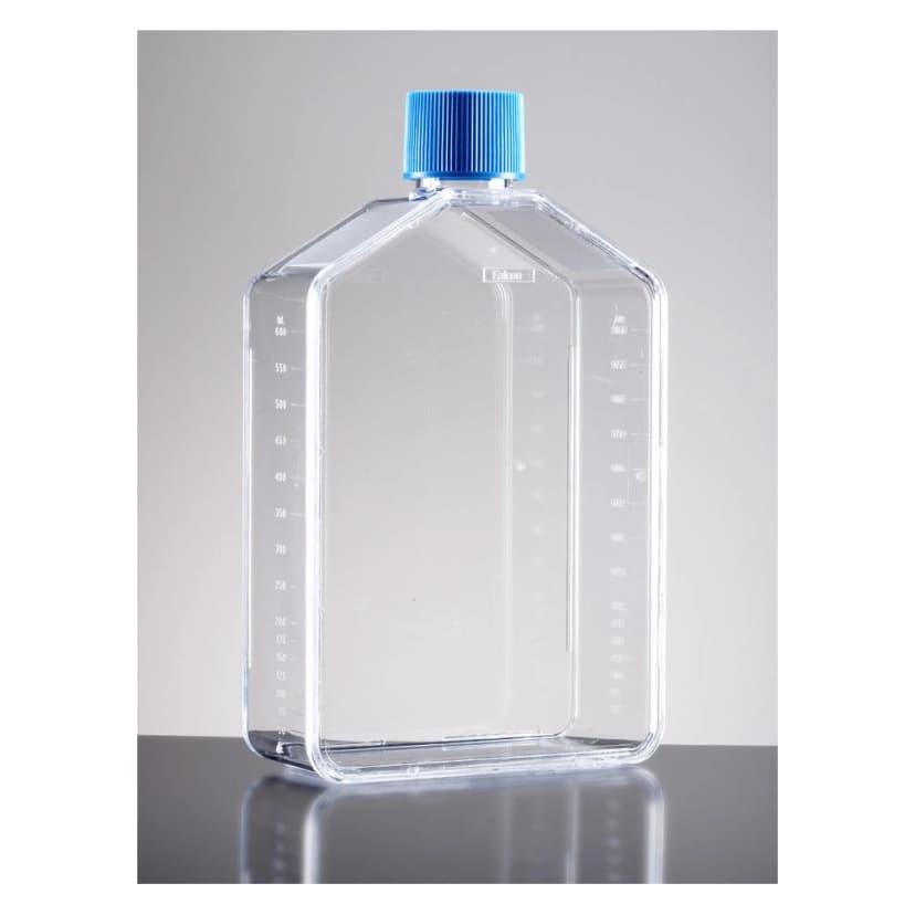 Falcon® 175cm² Rectangular Straight Neck Cell Culture Flask with Vented Cap