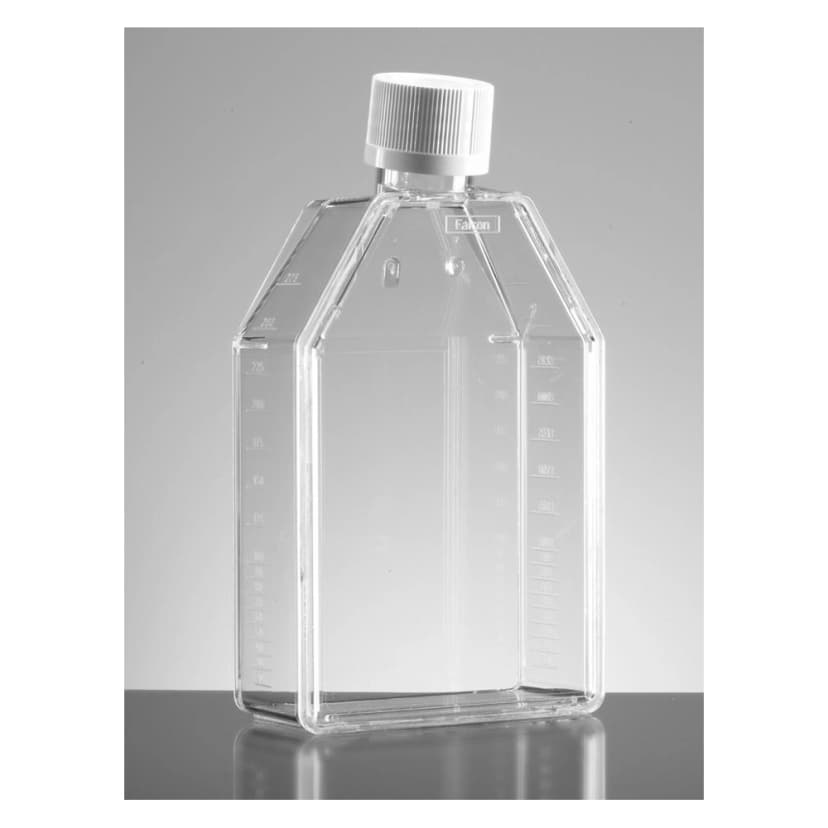Falcon® 75cm² Rectangular Canted Neck Cell Culture Flask with Plug Seal Cap
