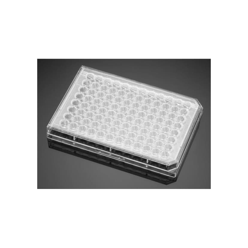 Falcon® 96-well Clear Round Bottom TC-treated Cell Culture Microplate, with Lid, Sterile, 5/Pack, 50/Case