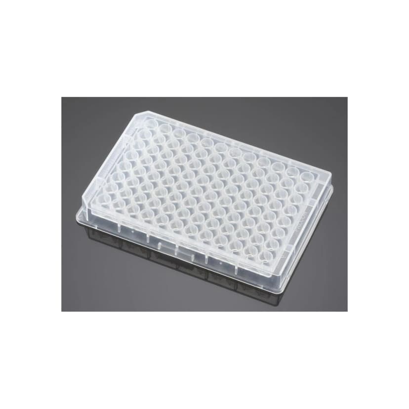Falcon® 96 Well Clear V-Bottom Not Treated Polypropylene Microplate, 25/Pack, 100/Case