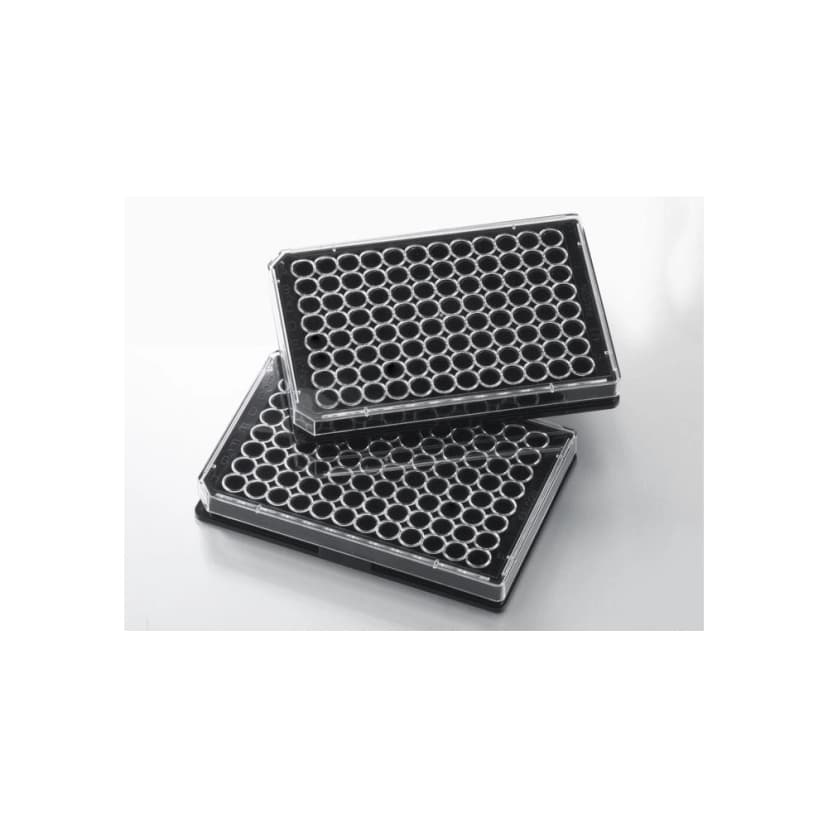 Falcon® 96 Well Black Flat BottomTC-Treated Microplate, with Lid, Sterile, 8/Pack, 32/Case