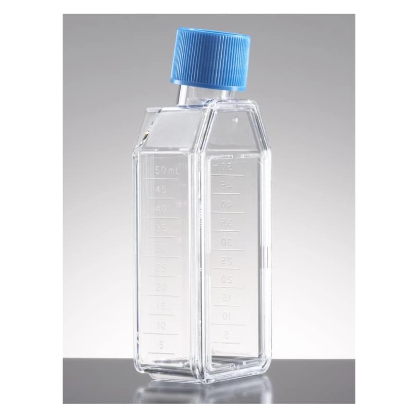 Corning Primaria™ 25cm² Rectangular Straight Neck Cell Culture Flask with Vented Cap