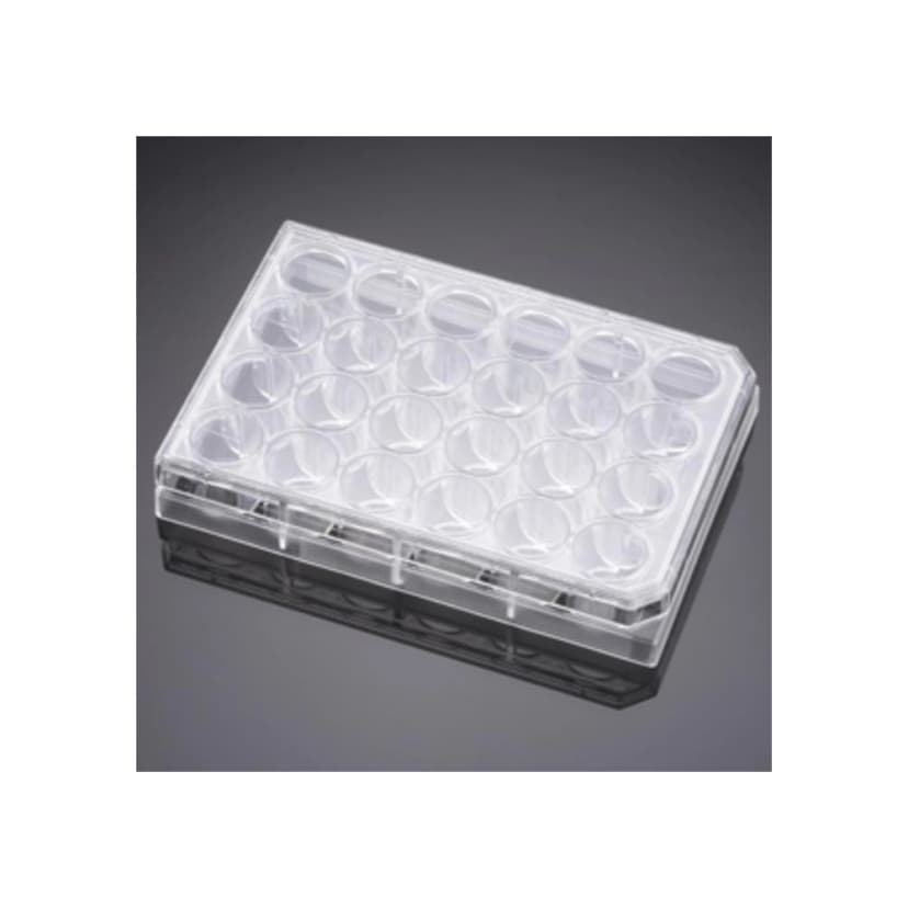 Corning Primaria™ 24 Well Flat Bottom Surface Modified Multiwell Cell Culture Plate, with Lid, Ind. Wrapped, S, 50/Cs
